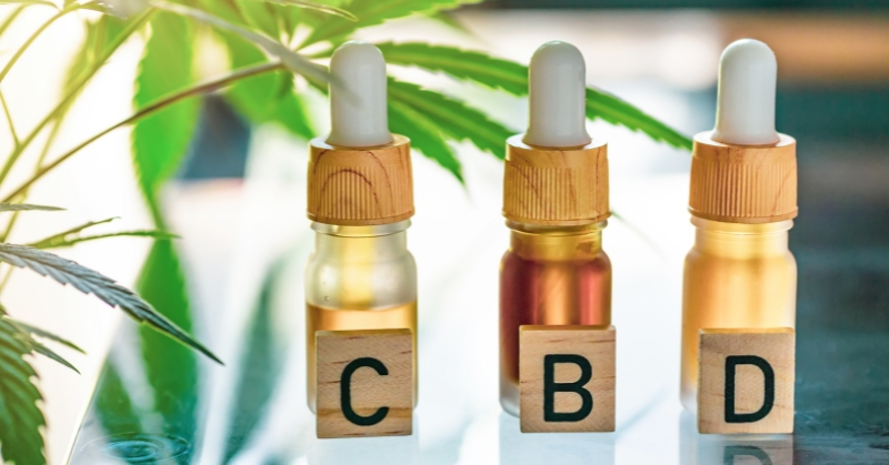 מה זה CBD ומה צריך לדעת לפני שרוכשים