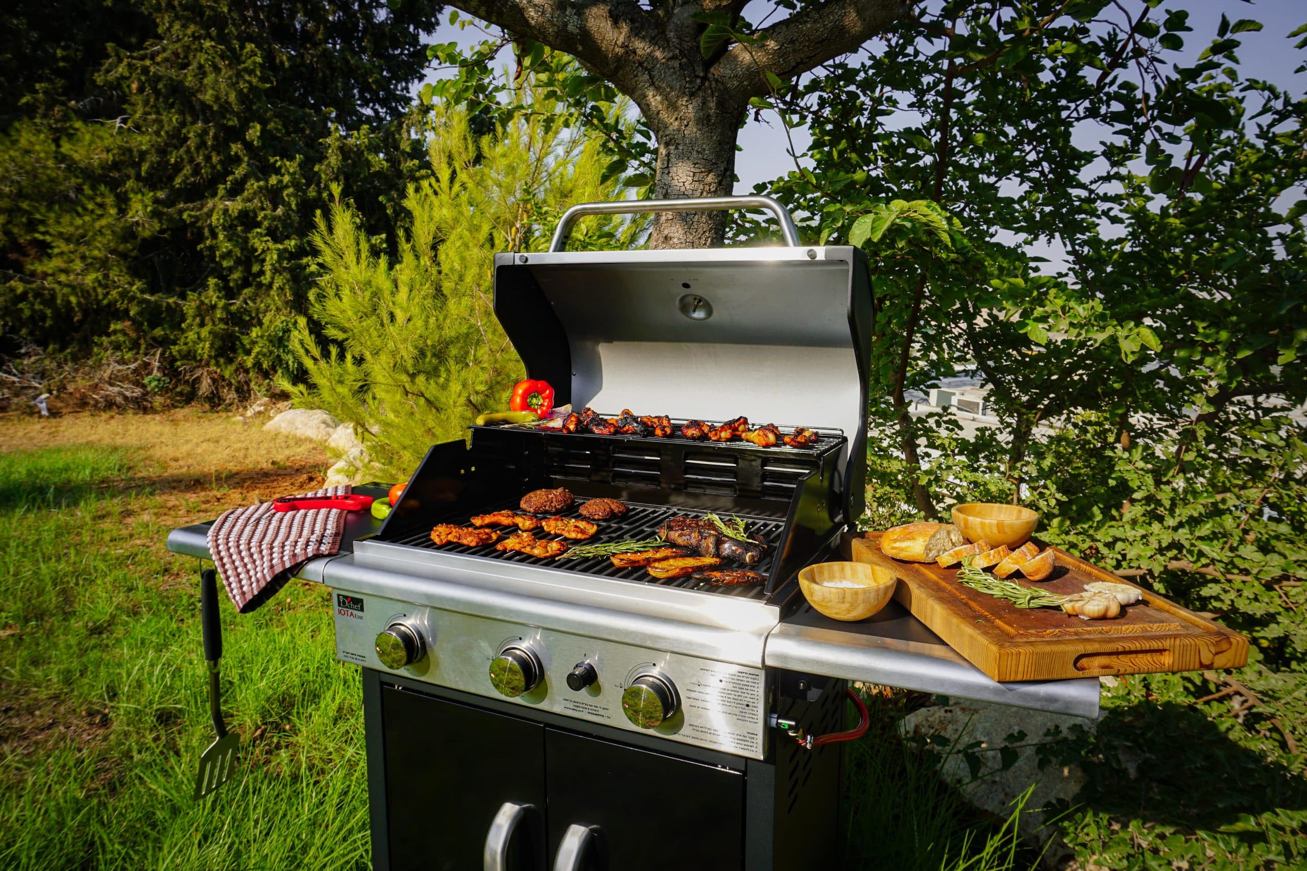 weber grill